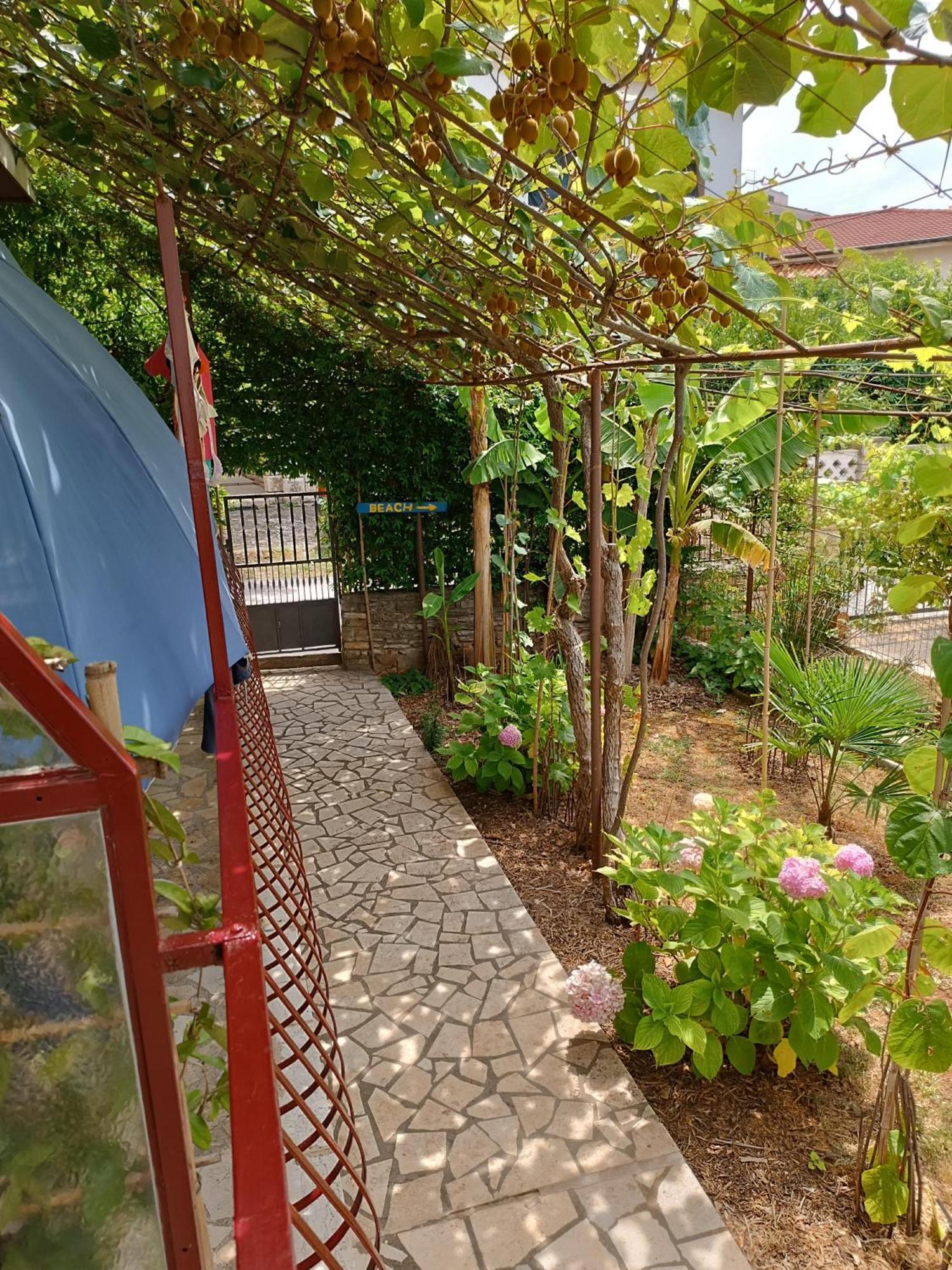 Levak Apartments - Apt. 2 Пєщана-Увала Екстер'єр фото